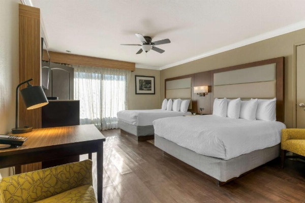 Best Western Plus Forest Park Inn image 27